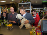 Opening Pets&Co