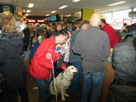 Opening Pets&Co