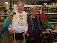 Opening Pets&Co